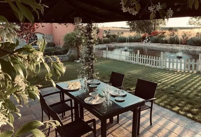Fotos del hotel Mozárbez Salamanca:  5