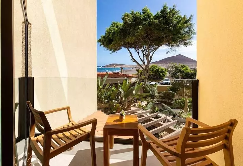 Fotos del hotel Playa Sur Tenerife:  9