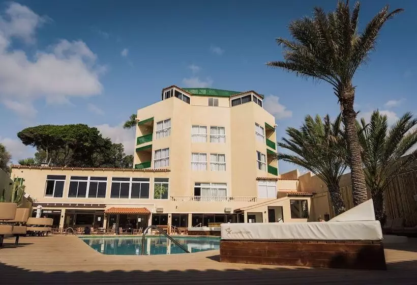 Fotos del hotel Playa Sur Tenerife:  1