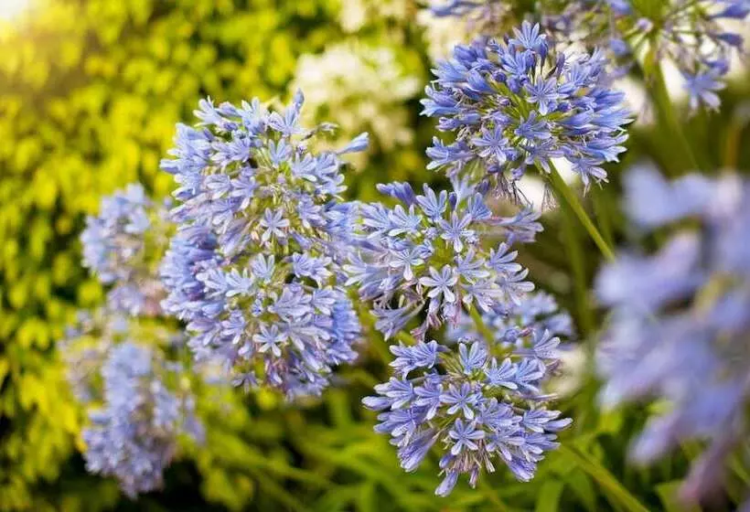 Fotos del hotel Puente Romano Beach Resort:  4