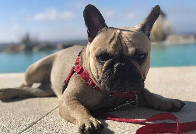 Fotos del hotel Ritual Torremolinos- Adults Only:  10