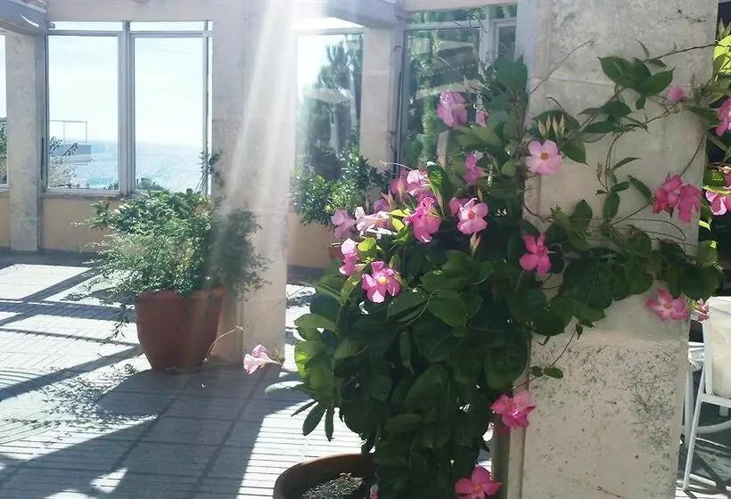 Fotos del hotel Hipócrates Cur:  19