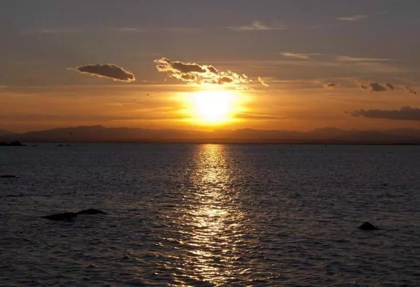 Fotos del hotel Canyelles Platja:  8