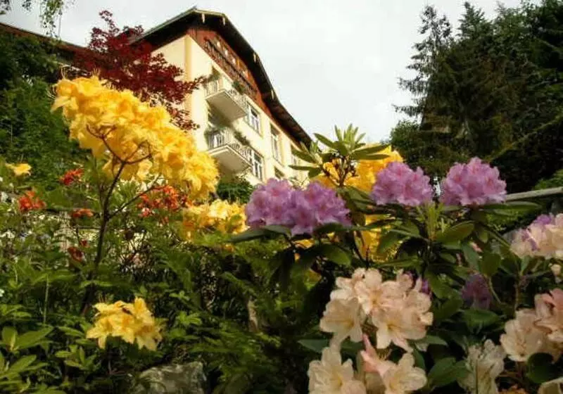 Fotos del hotel Alpenblick:  24