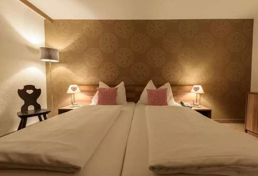 Fotos del hotel Arthotel Ana Enzian:  19