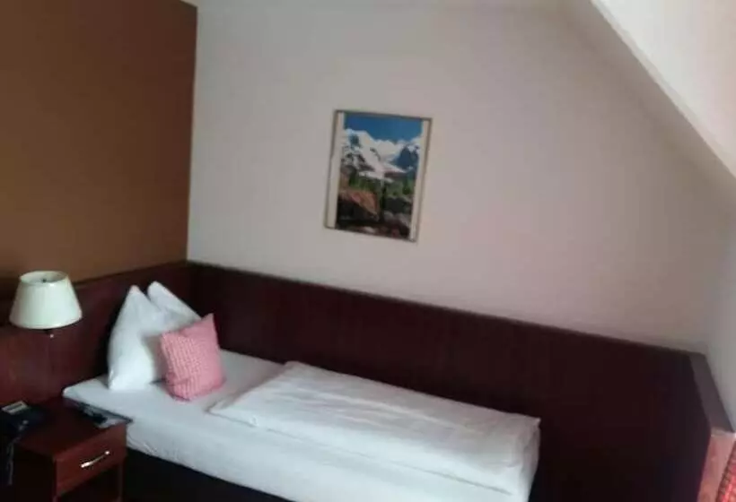 Fotos del hotel Arthotel Ana Enzian:  21