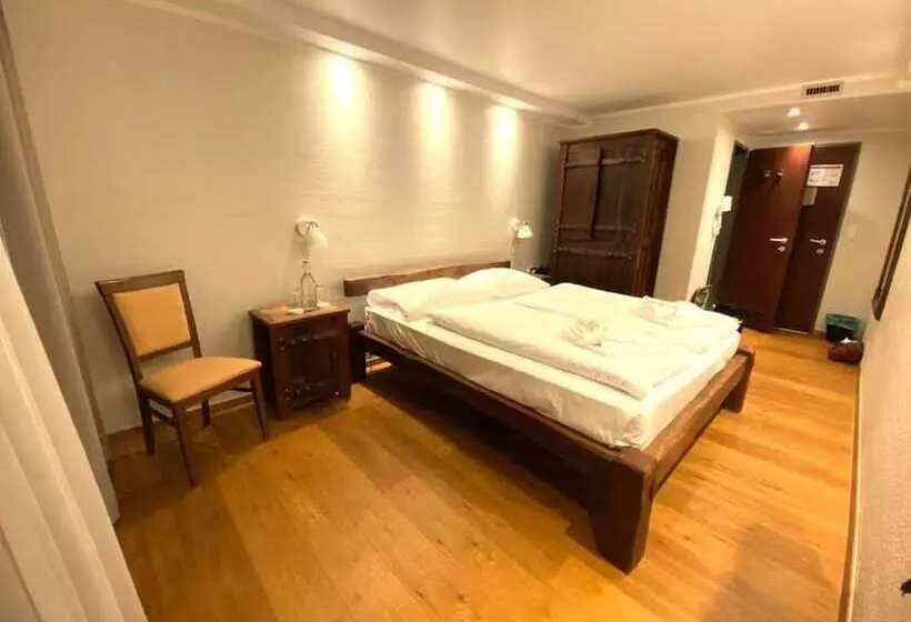 Fotos del hotel Arthotel Ana Enzian:  10