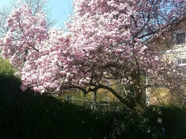 Fotos del hotel Hohenstauffen:  14