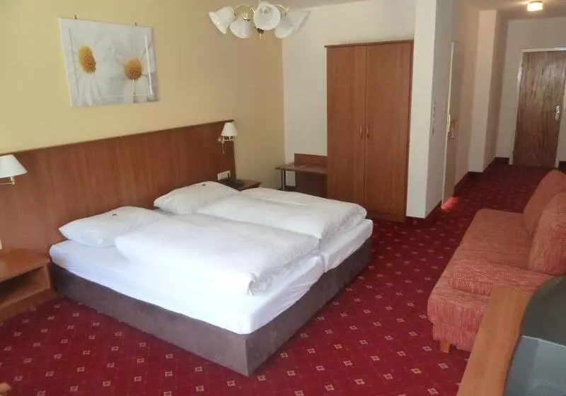 Fotos del hotel Kur &  Mozart:  8