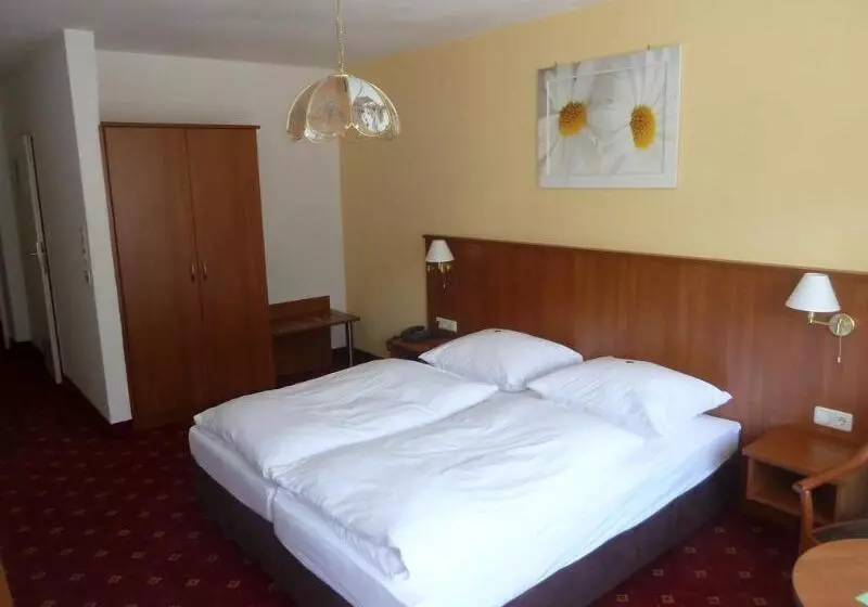 Fotos del hotel Kur &  Mozart:  11