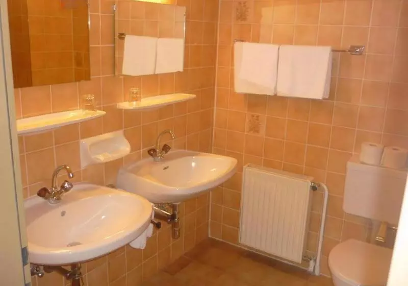 Fotos del hotel Kur &  Mozart:  5