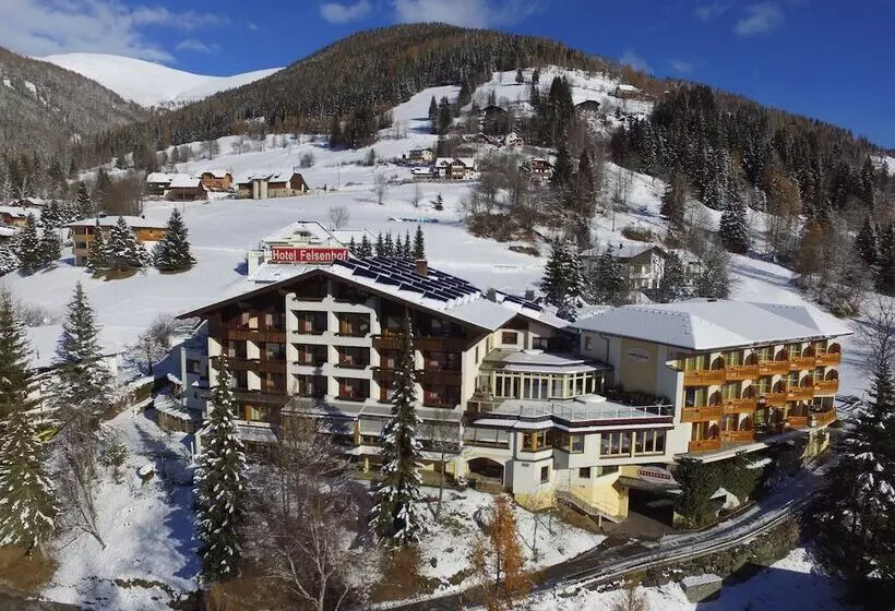 Fotos del hotel Wohlfühl & Genusshotel Felsenhof:  10