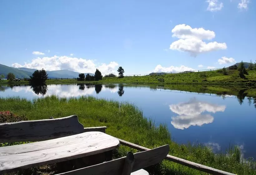 Fotos del hotel Wohlfühl & Genusshotel Felsenhof:  9