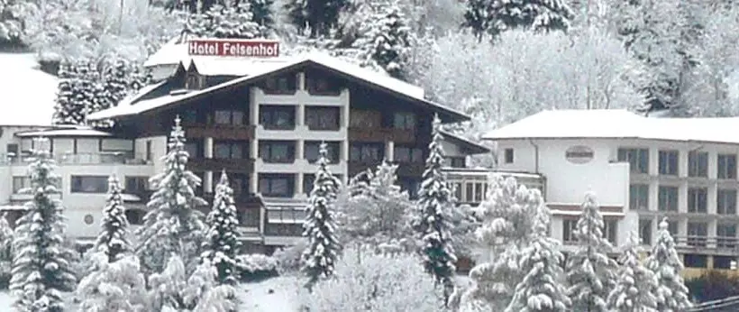 Fotos del hotel Wohlfühl & Genusshotel Felsenhof:  12