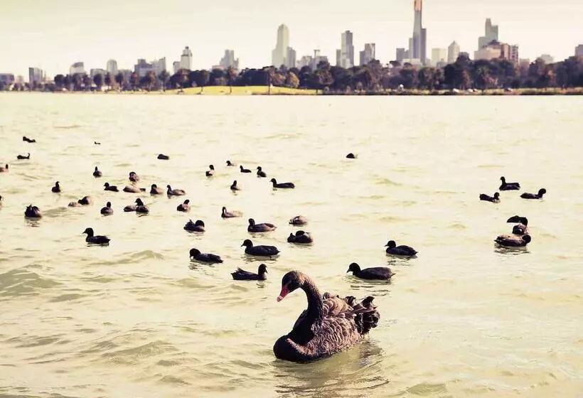 Fotos del hotel Mercure Melbourne Albert Park:  2