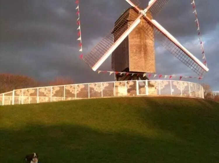 Fotos del hotel Adornes:  23