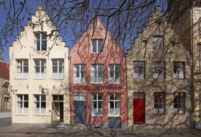 Fotos del hotel Adornes:  17