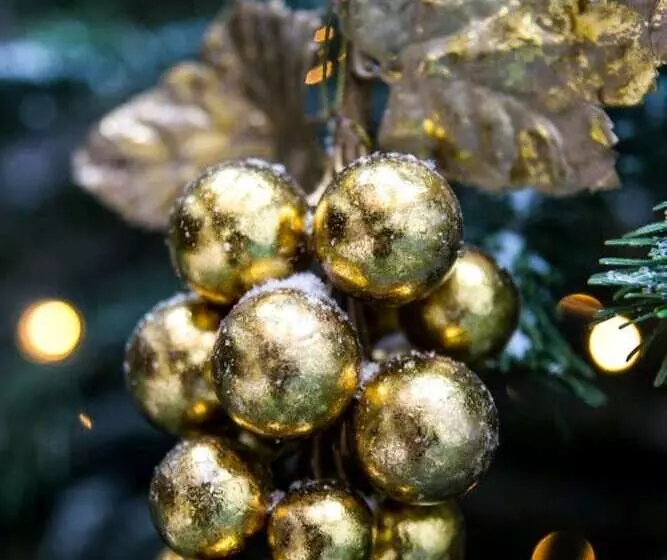 Fotos del hotel De Orangerie - Small Luxury Hotels Of The World:  6