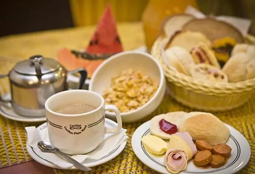 Fotos del hotel Carillon Plaza:  9