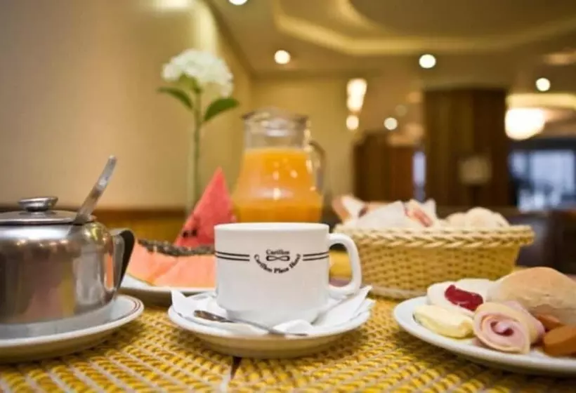 Fotos del hotel Carillon Plaza:  13