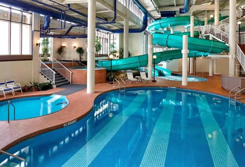 Fotos del hotel Sheraton Cavalier Calgary:  10