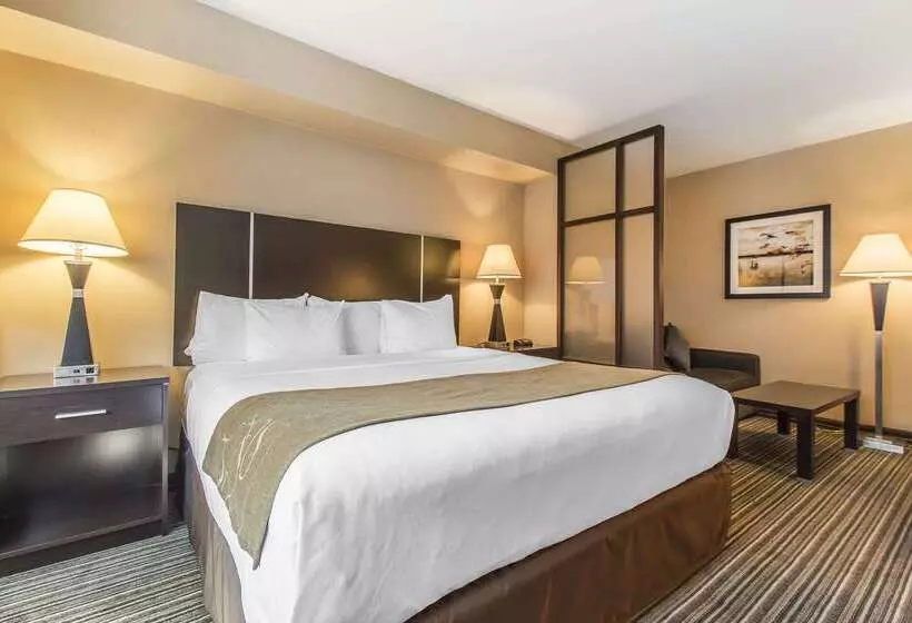 Fotos del hotel Comfort Suites Downtown:  24