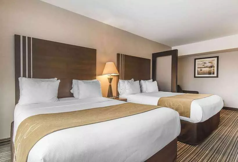 Fotos del hotel Comfort Suites Downtown:  4