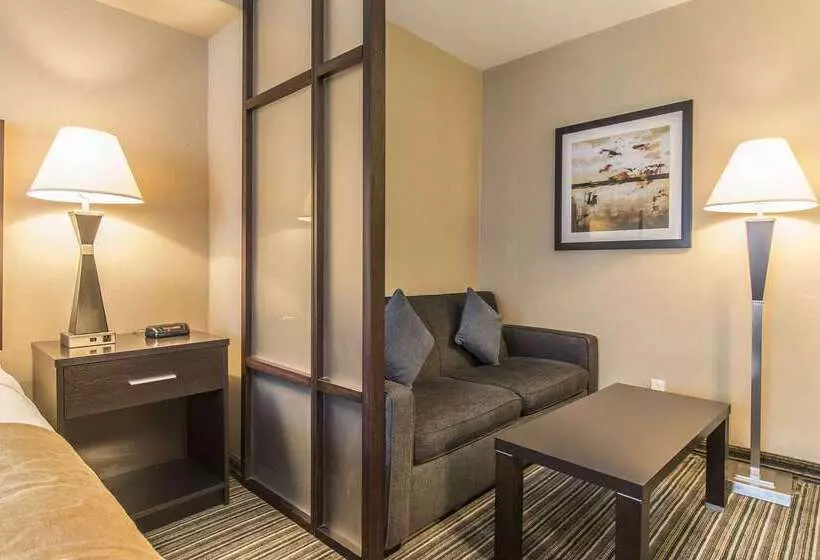 Fotos del hotel Comfort Suites Downtown:  8