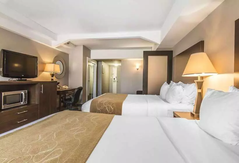 Fotos del hotel Comfort Suites Downtown:  11