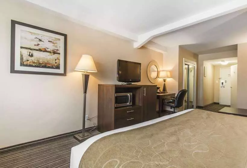 Comfort Suites Downtown