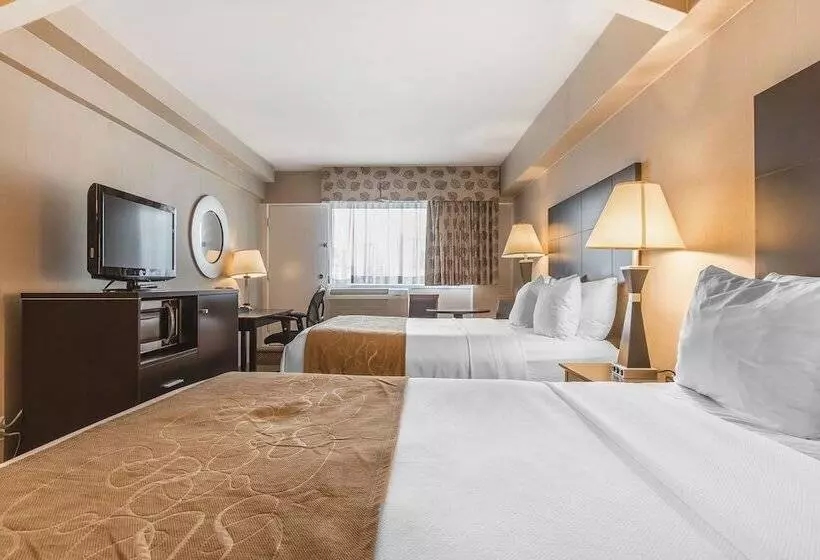 Fotos del hotel Comfort Suites Downtown:  21