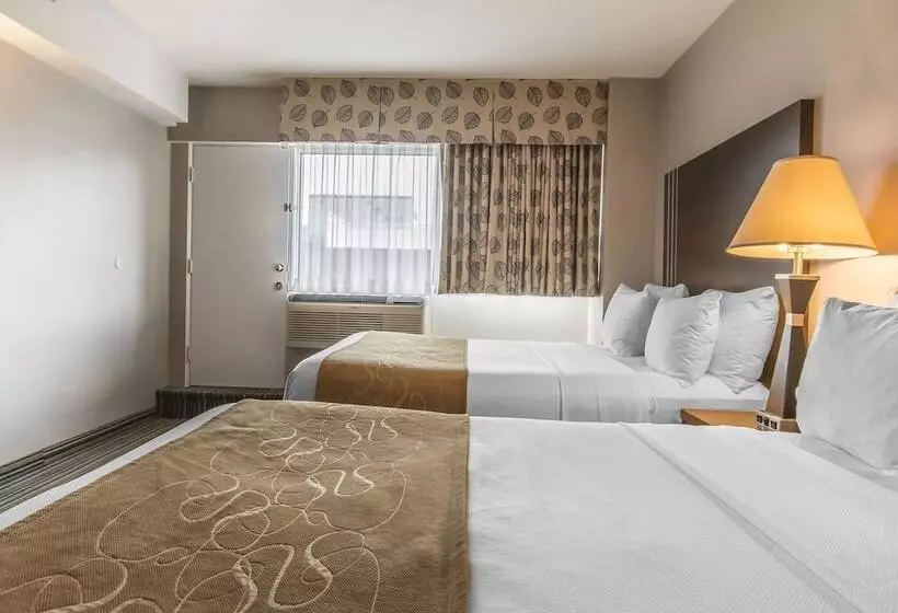 Fotos del hotel Comfort Suites Downtown:  20