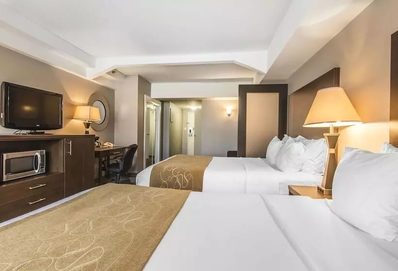 Fotos del hotel Comfort Suites Downtown:  17