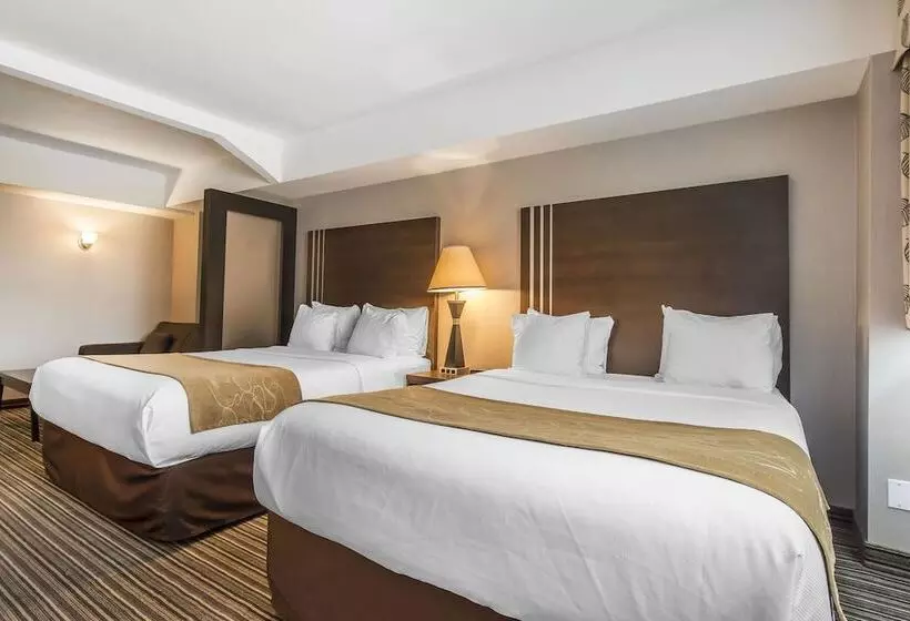 Fotos del hotel Comfort Suites Downtown:  14