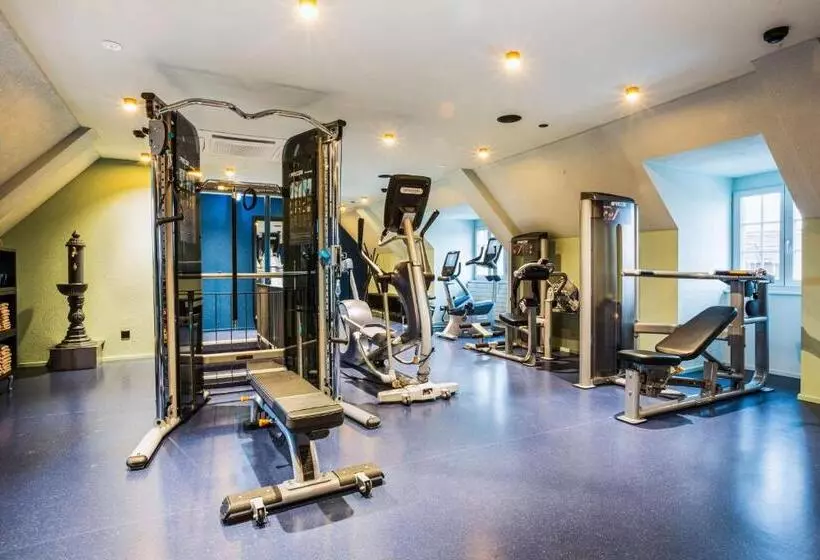 Fotos del hotel The Bristol - Hotel-bar-lounge - Bern, City Center:  7