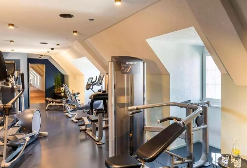 Fotos del hotel The Bristol - Hotel-bar-lounge - Bern, City Center:  31