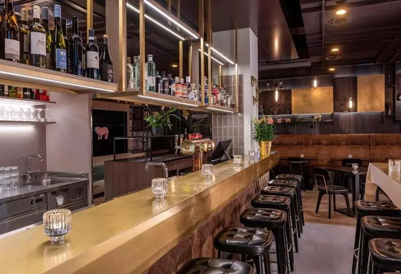 Fotos del hotel The Bristol - Hotel-bar-lounge - Bern, City Center:  13