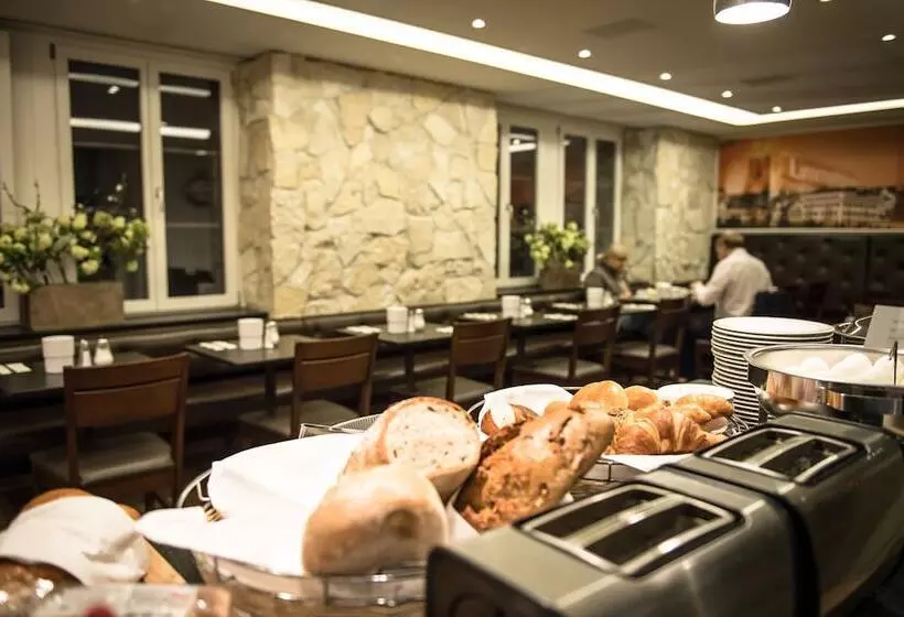 Fotos del hotel Alexander Zurich Old Town:  11