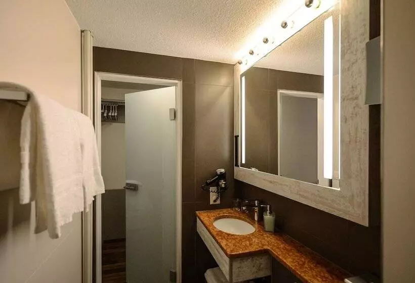 Fotos del hotel Alexander Zurich Old Town:  15