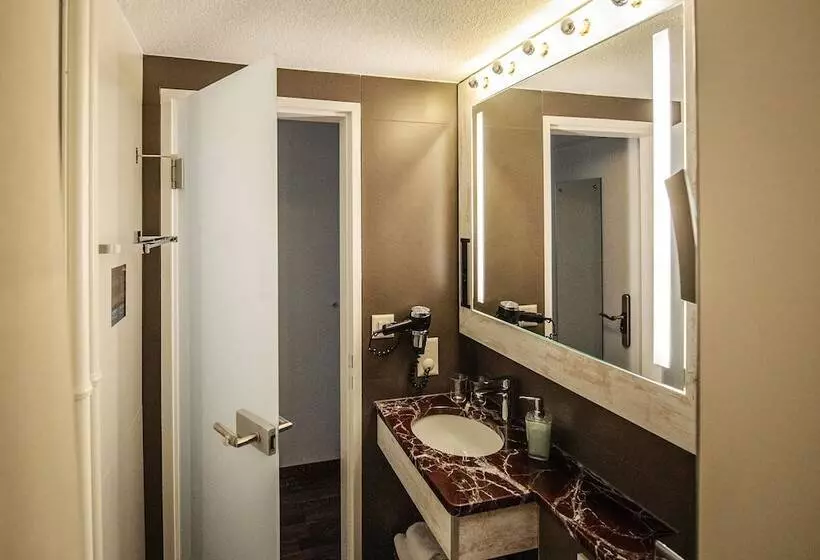 Fotos del hotel Alexander Zurich Old Town:  4