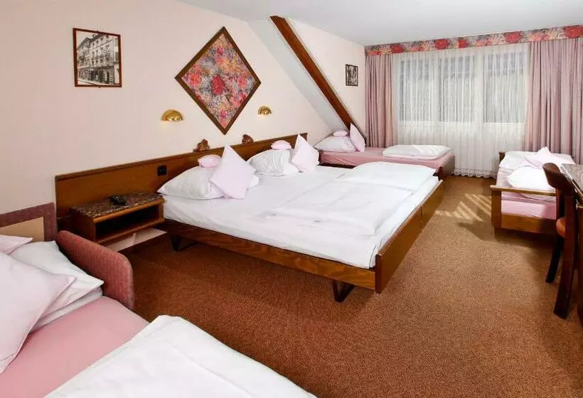 Fotos del hotel Baslertor Summer Pool:  10