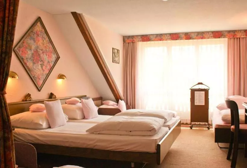 Fotos del hotel Baslertor Summer Pool:  7