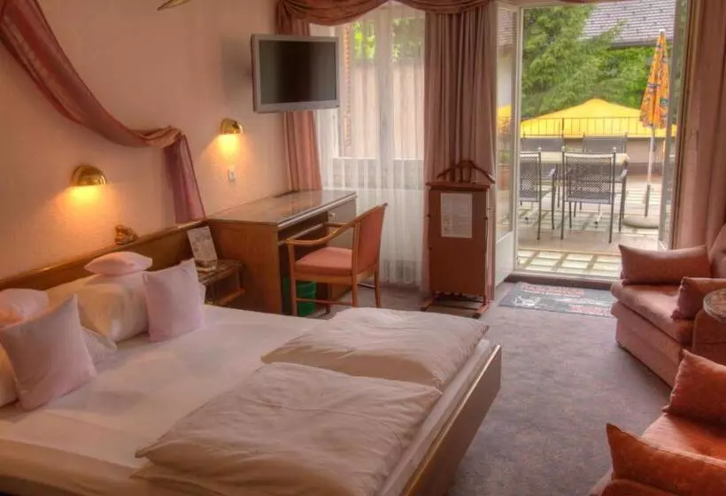 Fotos del hotel Baslertor Summer Pool:  16