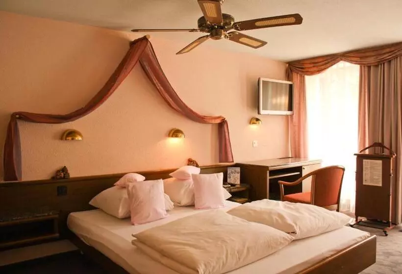 Fotos del hotel Baslertor Summer Pool:  21