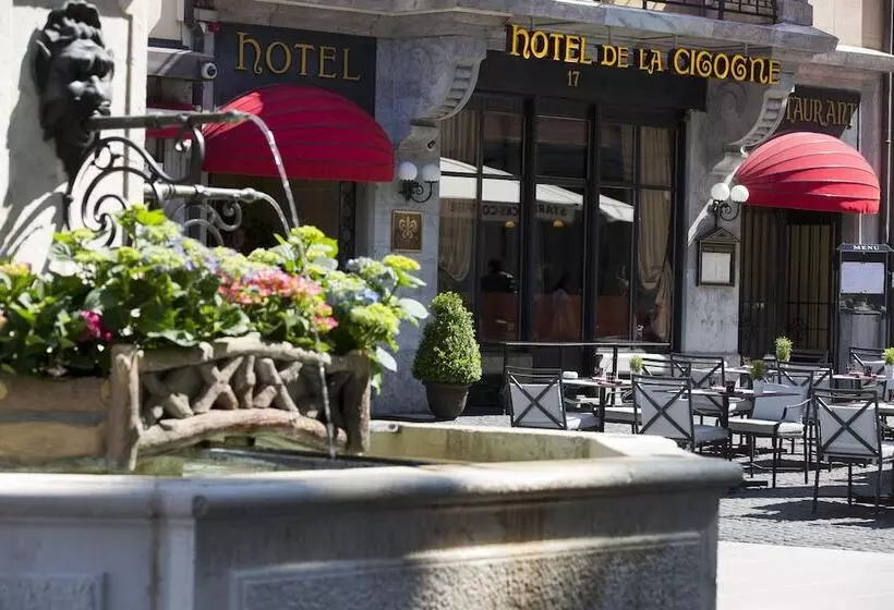 Fotos del hotel Hôtel De La Cigogne:  7