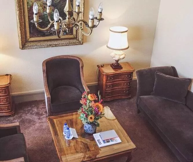 Fotos del hotel Hôtel De La Cigogne:  19