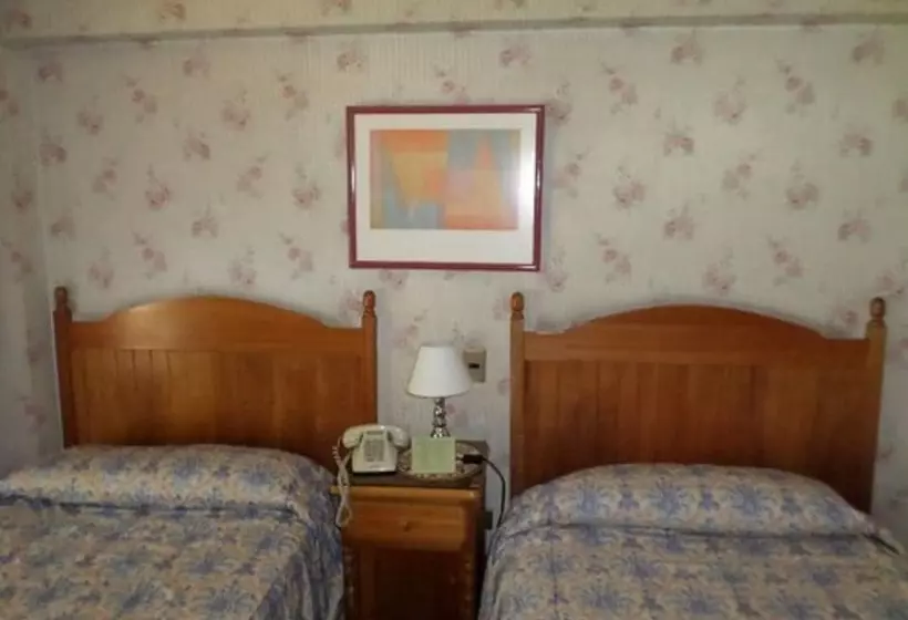 Fotos del hotel Foresta:  17