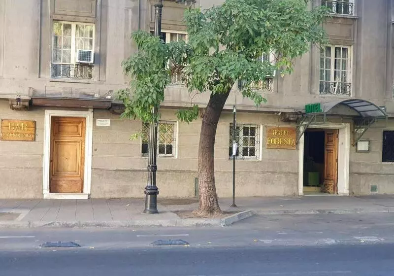 Fotos del hotel Foresta:  7