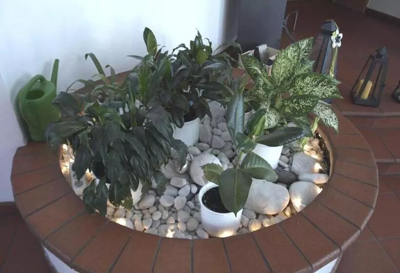 Fotos del hotel Airport  Filder Post:  8