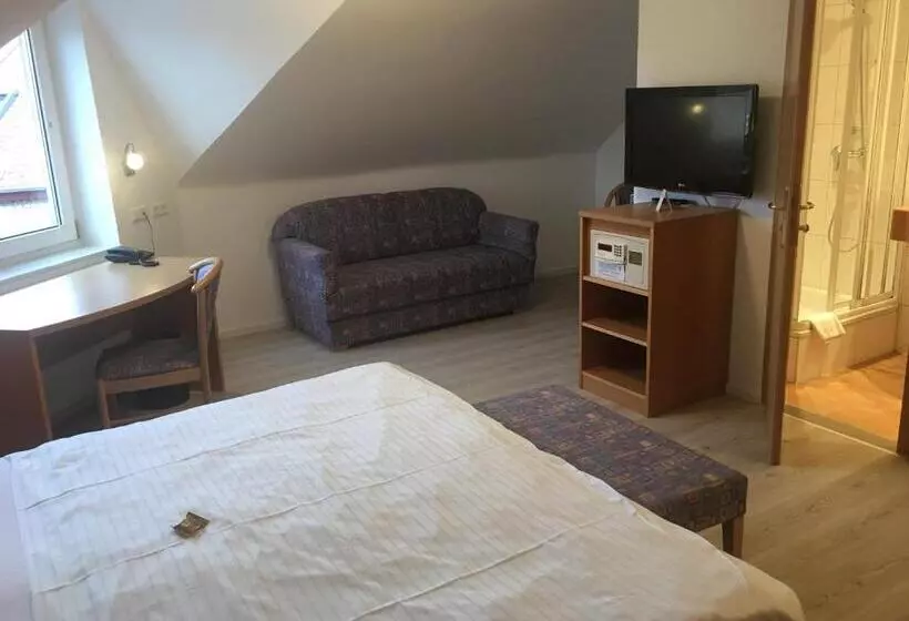 Fotos del hotel Barbarossa:  14